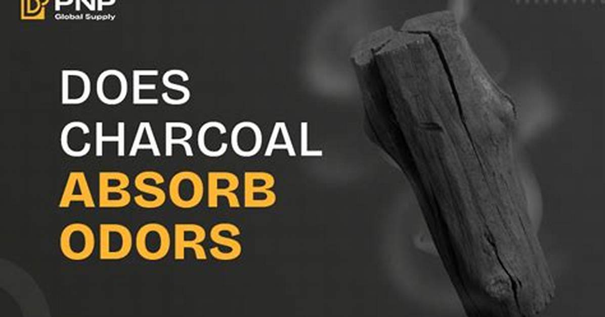 Does Charcoal Briquettes Absorb Odor?
