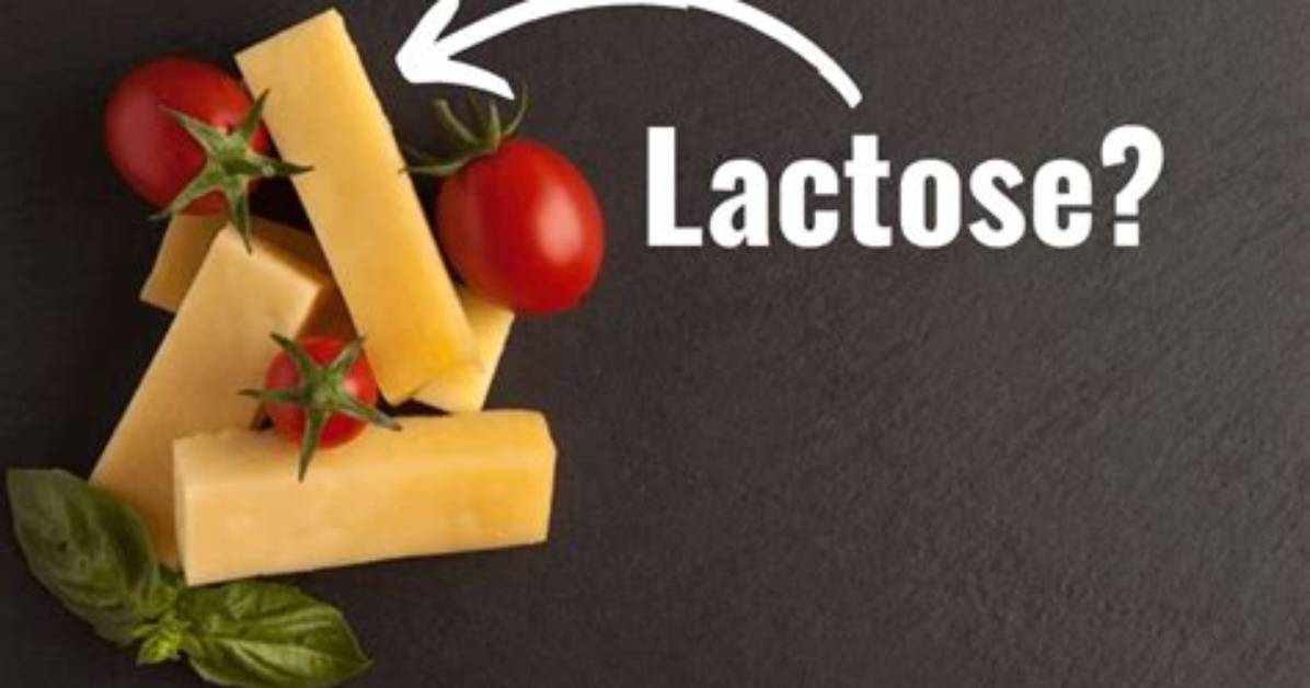 Does Cheddar Cheese Have Lactose