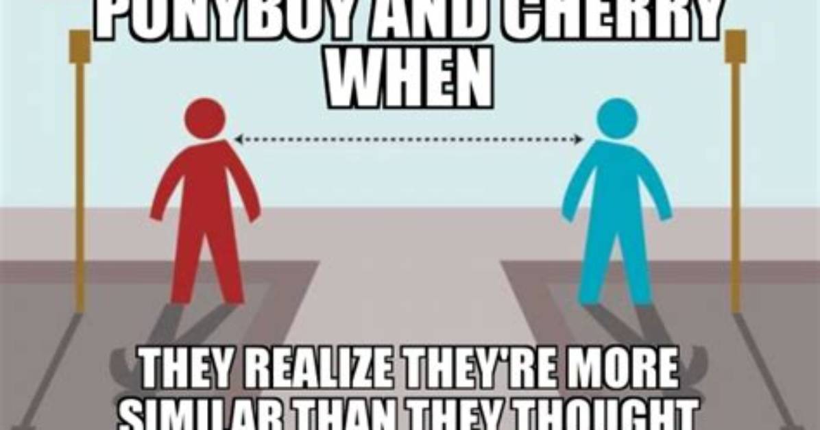 Does Cherry Help Ponyboy Realize