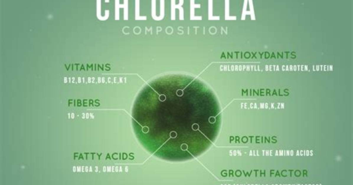 Does Chlorella Have Chlorophyll?