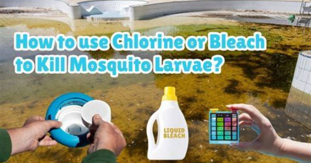 Does Chlorine Kill Water Bugs