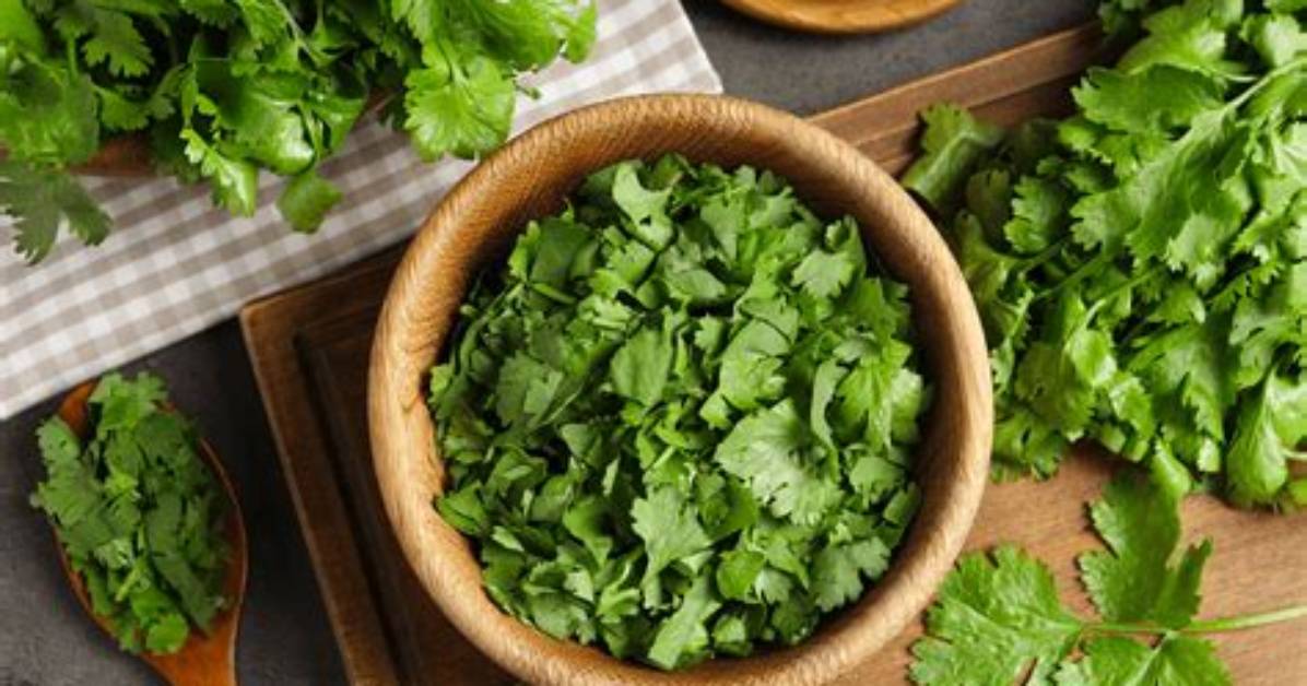 Does Cilantro Taste Good