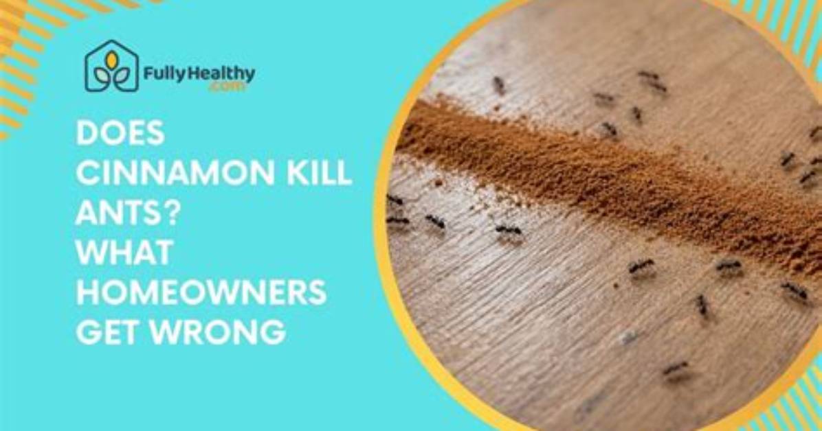 Does Cinnamon Oil Kill Ants