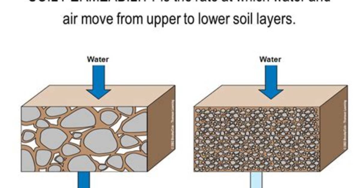 Does Clay Have High Permeability?