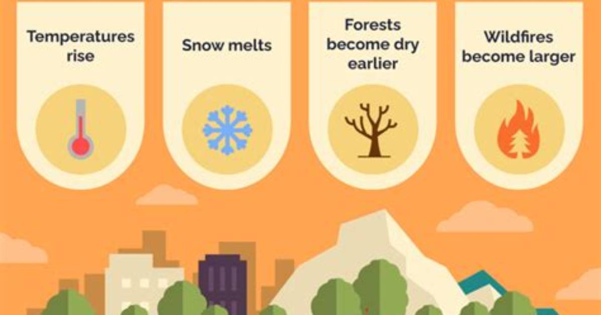 Does Climate Change Cause Wildfires?