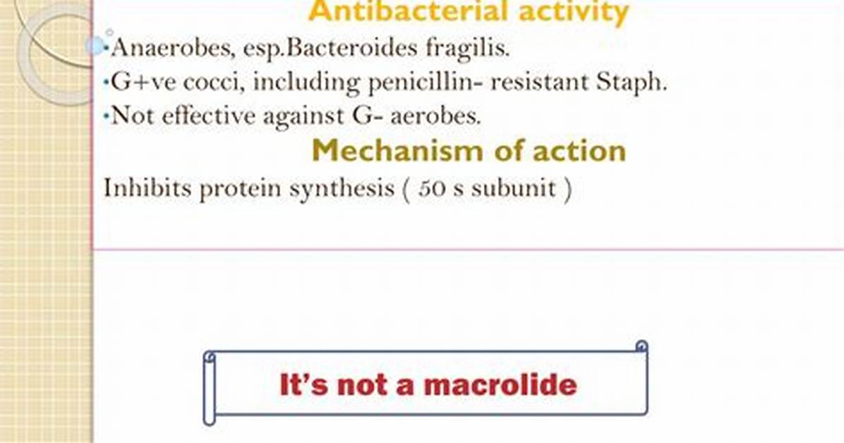 Does Clindamycin Have Sulfa in It?