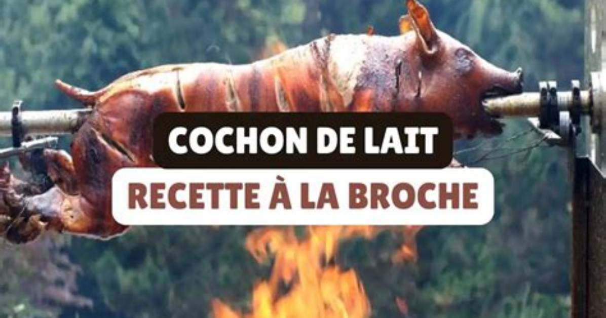 Does Cochon De Lait Mean?
