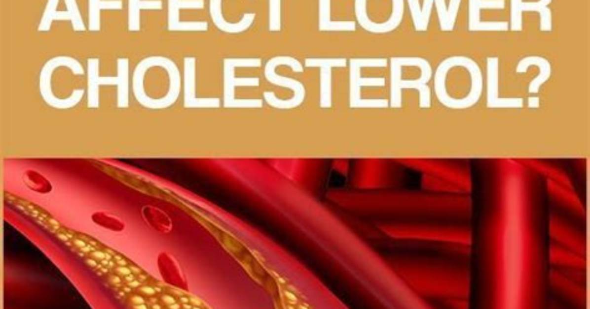 Does Coconut Oil Increase Cholesterol