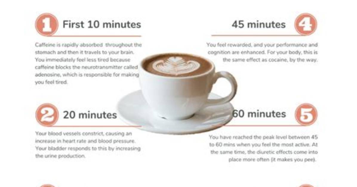Does Coffee Fill You Up