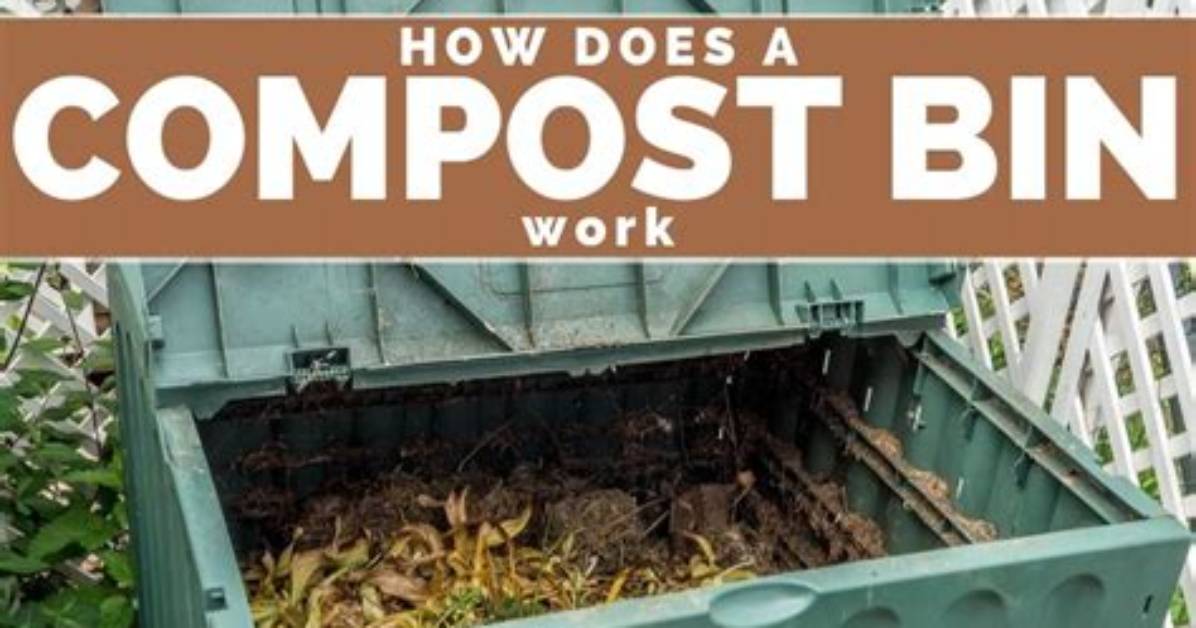 Does Compost Bin Need to Be Covered