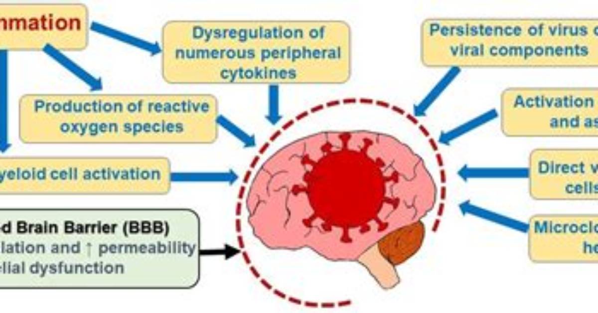 Does Covid Attack Nerves?