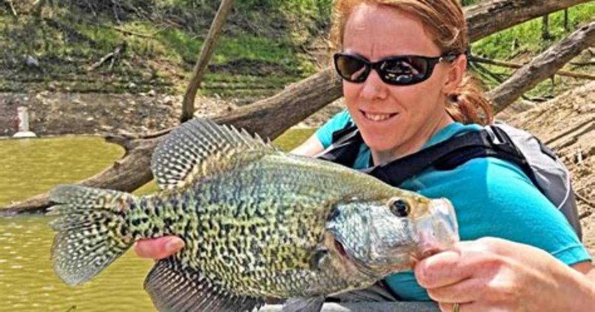 Does Crappie Fight Hard?