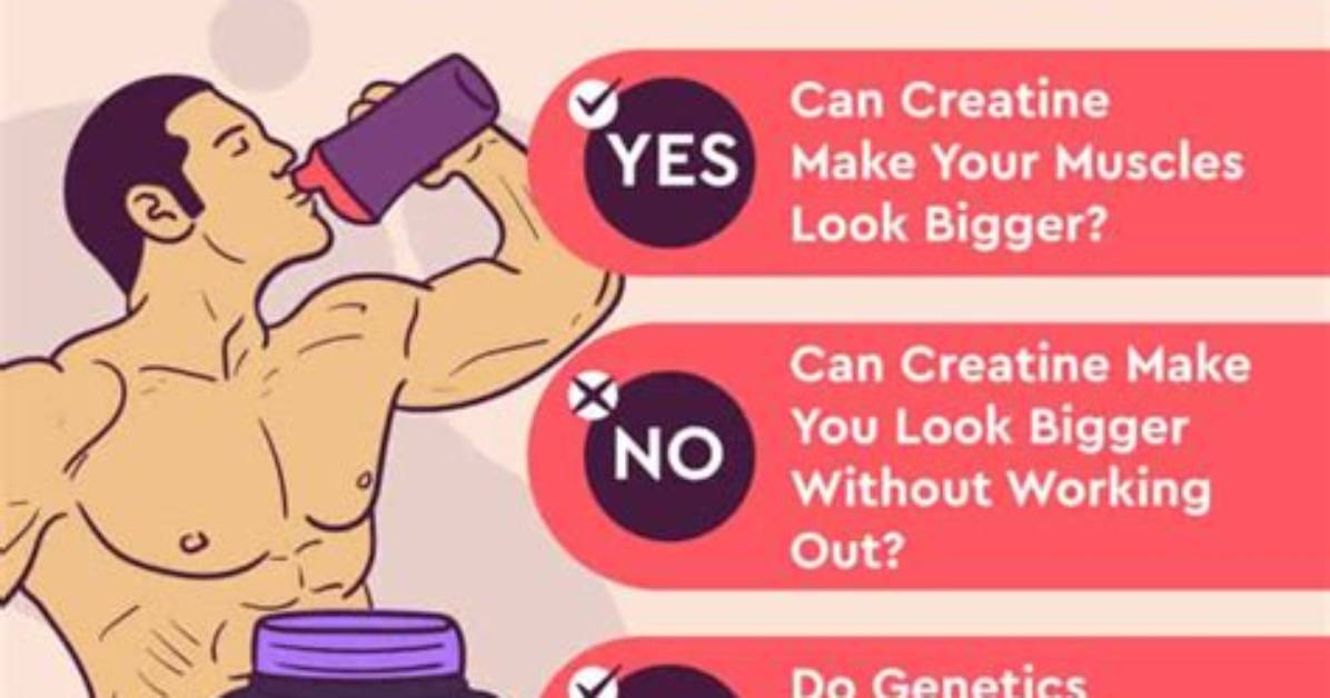 Does Creatine Really Make You Fat?