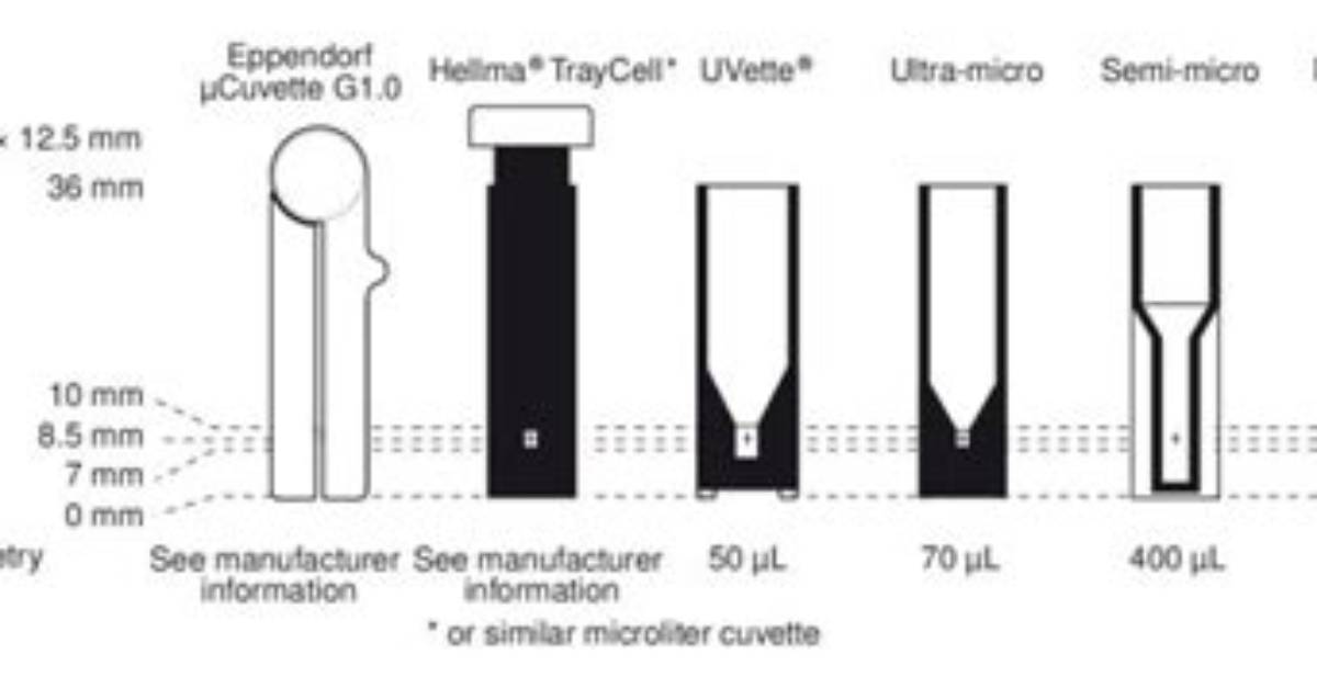 Does Cuvette Size Affect Absorbance?
