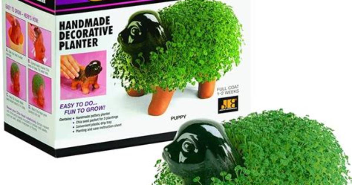 Does Cvs Have Chia Pets?