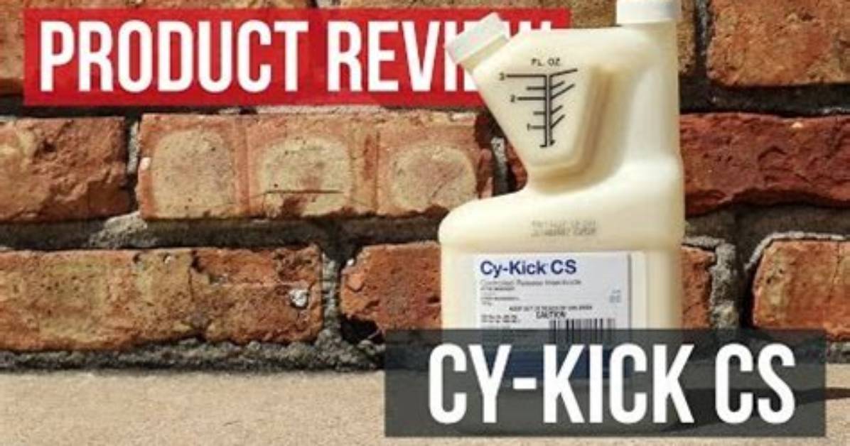 Does Cy Kick Kill Fleas