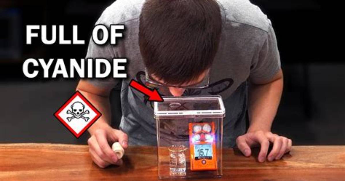 Does Cyanide Smell Like Cinnamon?