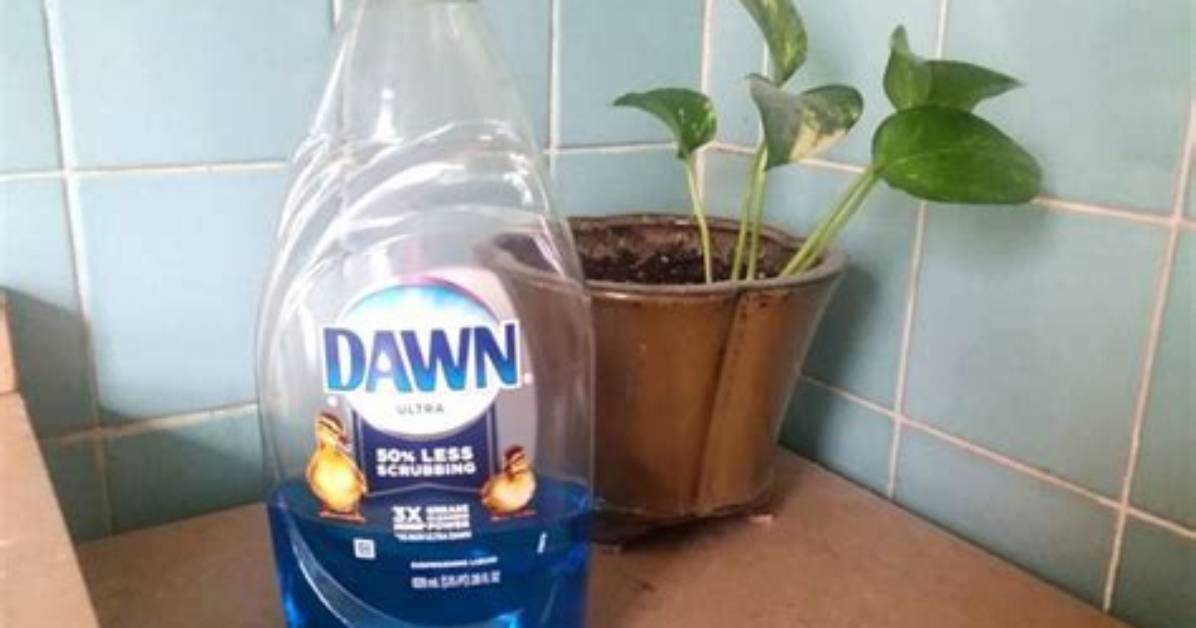 Does Dawn Clean Bathtubs?