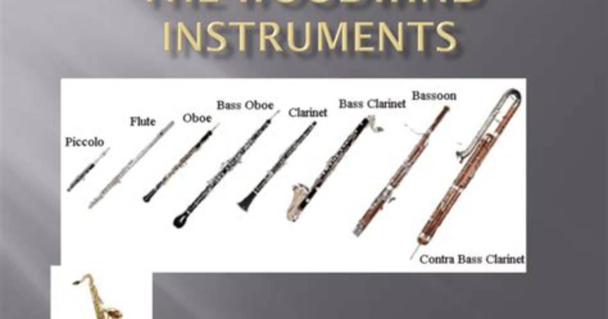 Does Dci Allow Woodwinds?