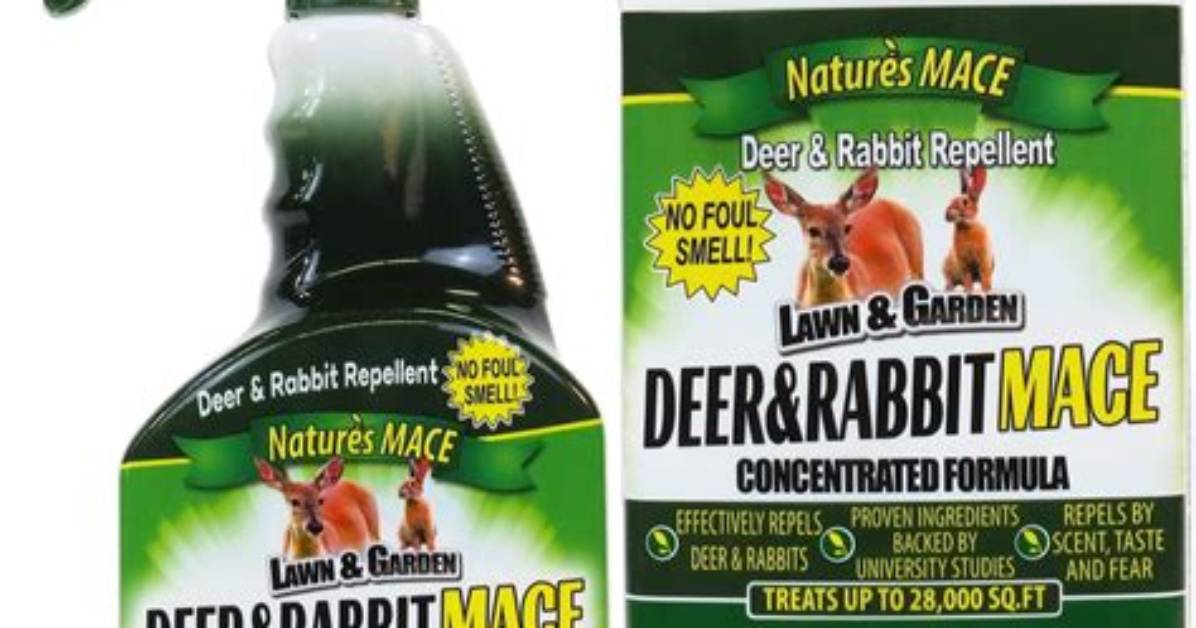 Does Deer and Rabbit Repellent Work on Dogs