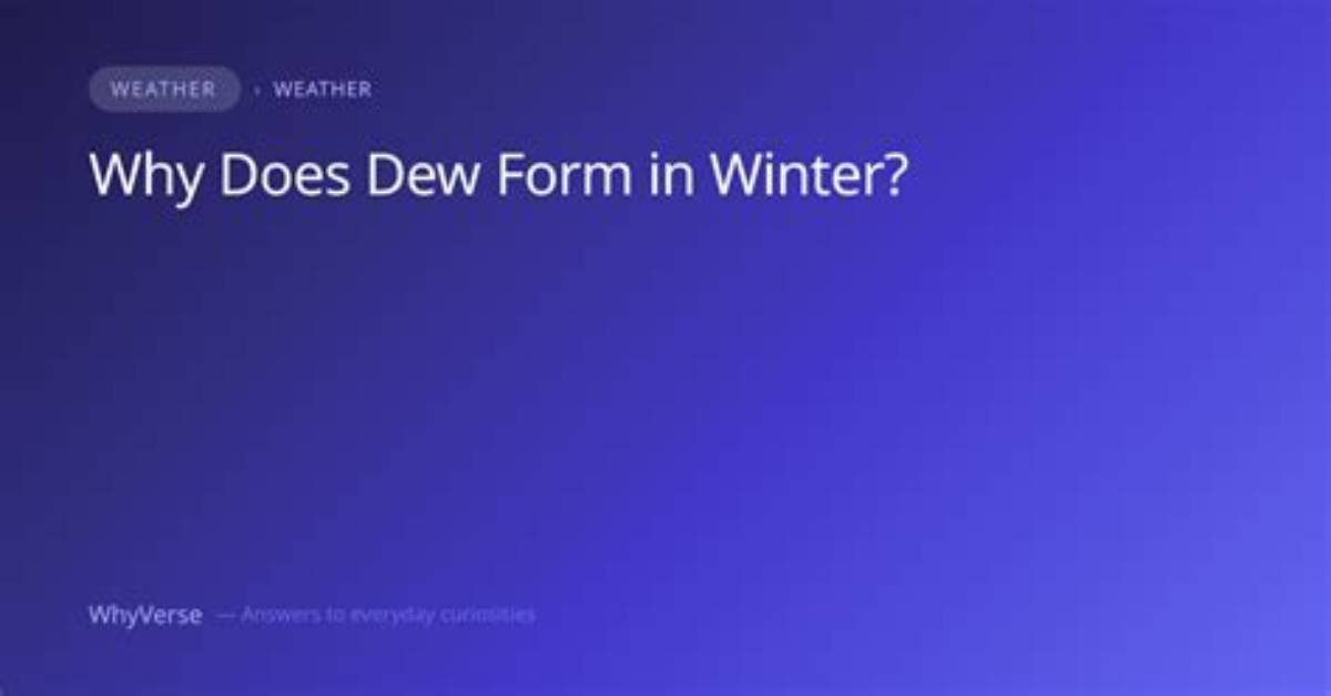 Does Dew Form in Winter?