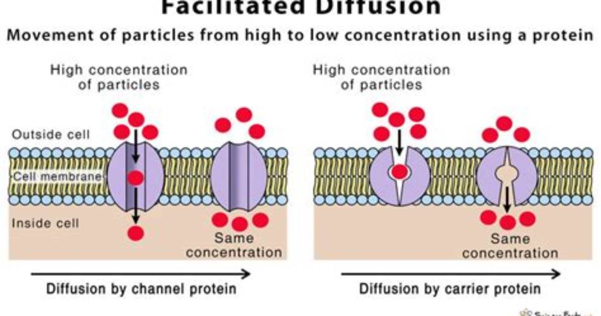 Does Diffusion Require Energy?