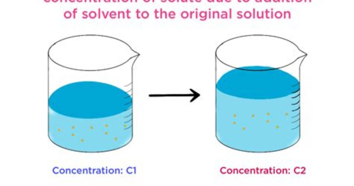 Does Dilution Change Concentration?