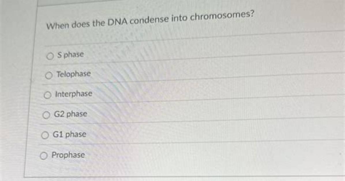 Does Dna Condense in G2