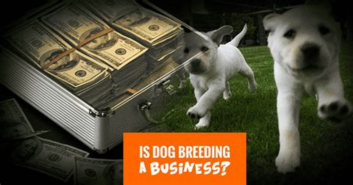 Does Dog Breeding Make Money?