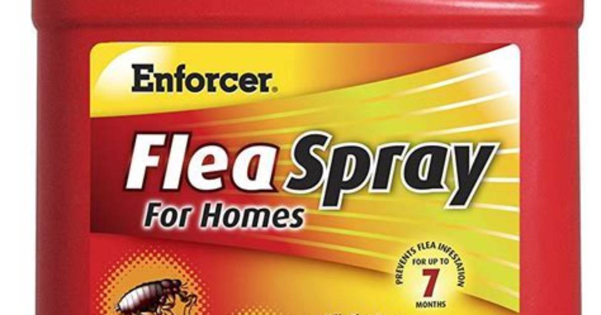 Does Ecoraider Kill Fleas