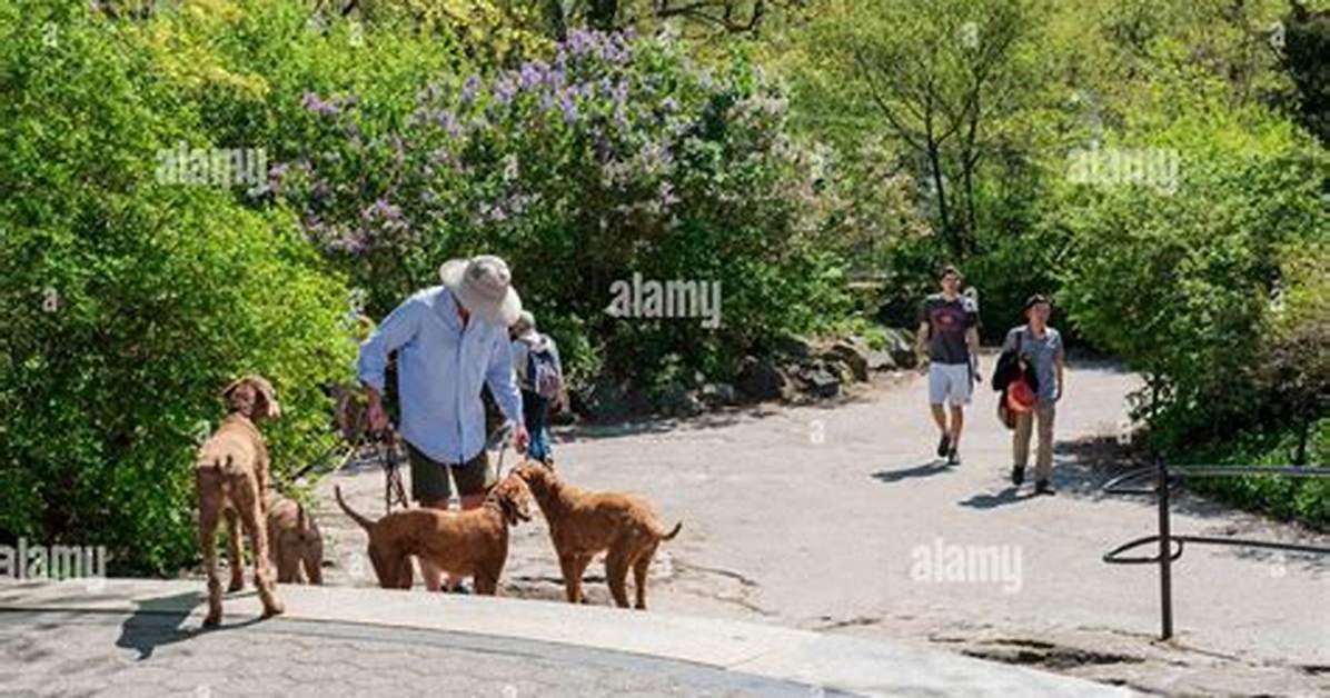 Does Edgewood Park Allow Dogs?