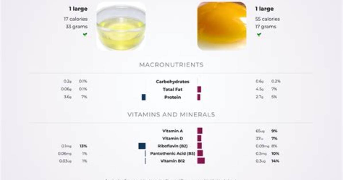Does Egg Yolk Contain Fat
