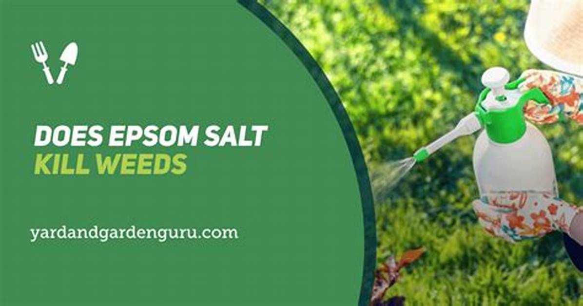 Does Epsom Salt Kill Weeds?