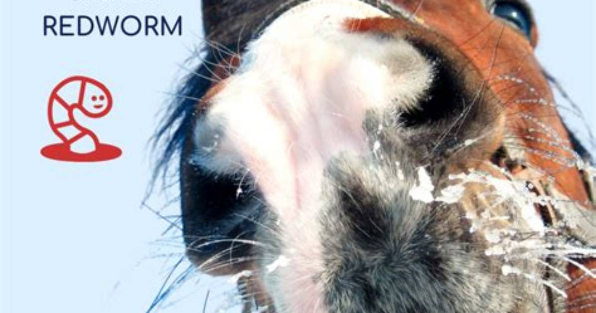 Does Equimax Treat Encysted Redworm?