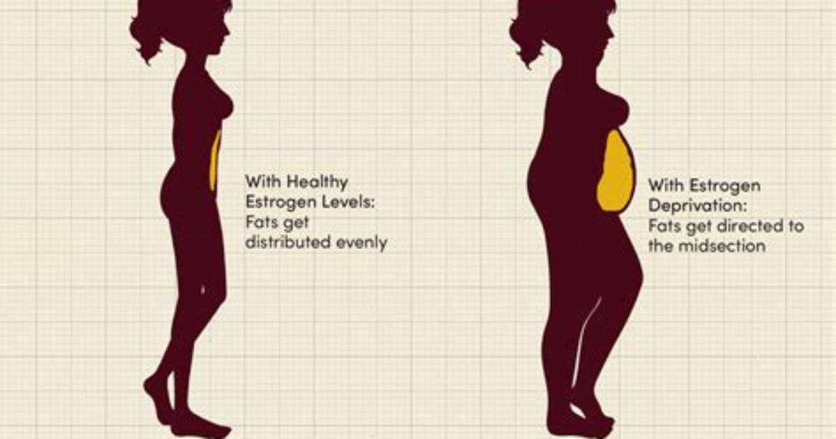 Does Estrogen Make You Hungry
