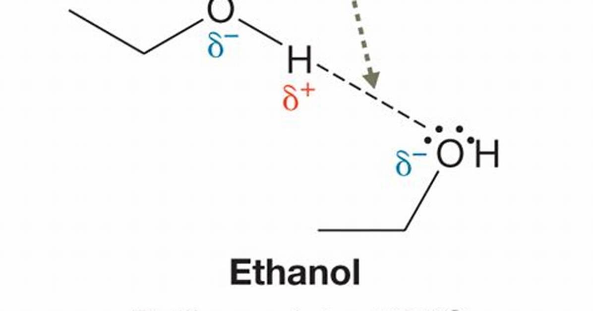 Does Ethylamine Have Hydrogen Bonding?