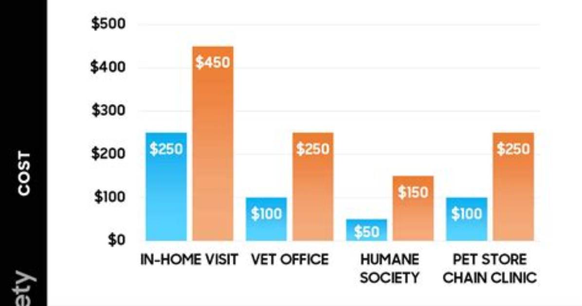 Does Euthanasia Cost Money?