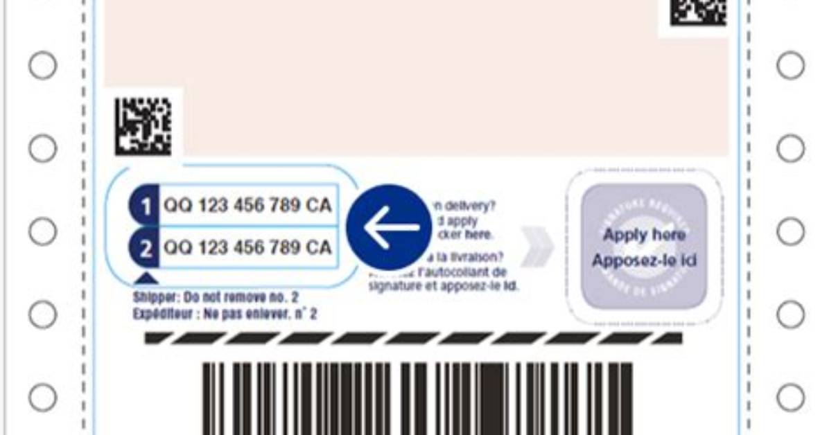 Does Expedited Parcel Have Tracking?