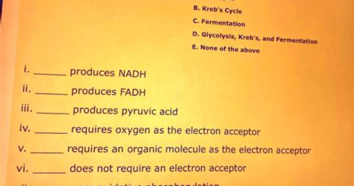 Does Fermentation Require an Organic Electron Acceptor?