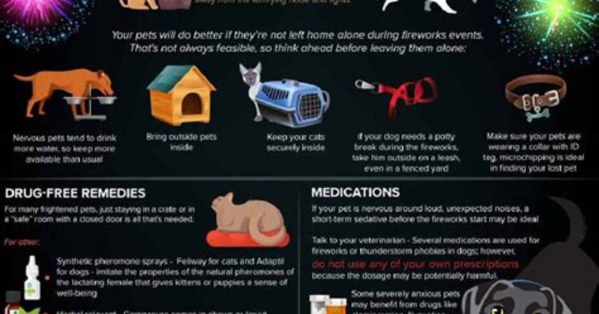 Does Fireworks Scare Dogs?