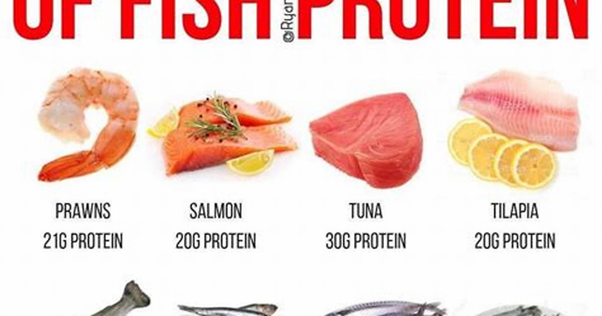 Does Fish Have Protein?