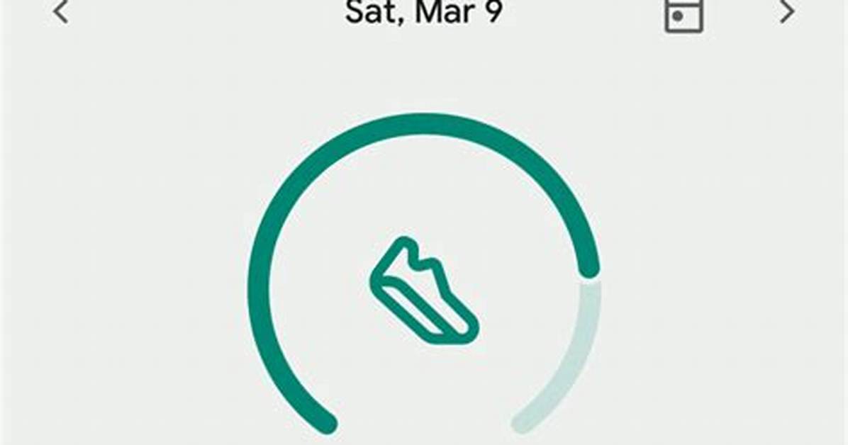 Does Fitbit Store Data?