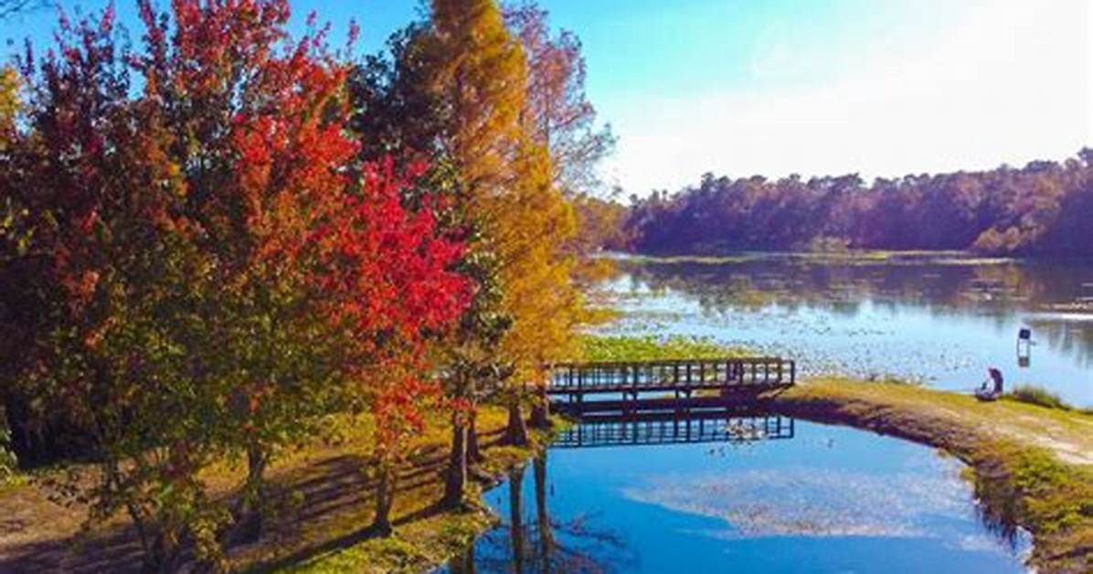 Does Florida Have a Fall Season