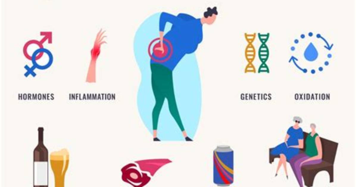 Does Fluoridation Cause Osteoporosis?
