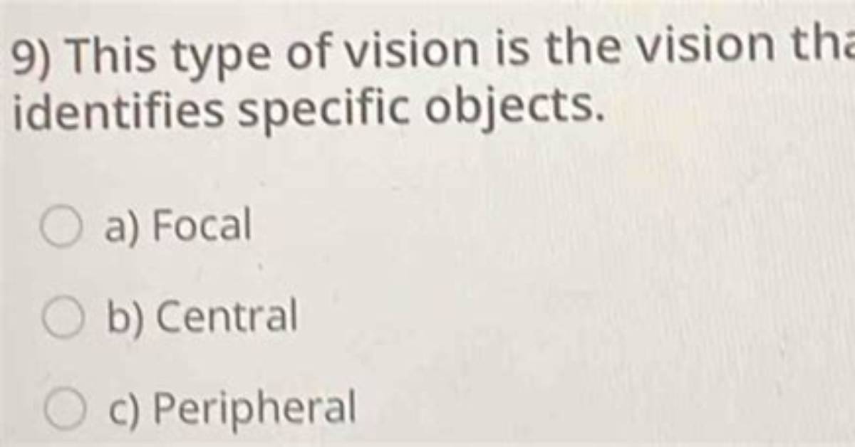Does Focal Vision Identifies Specific Objects?