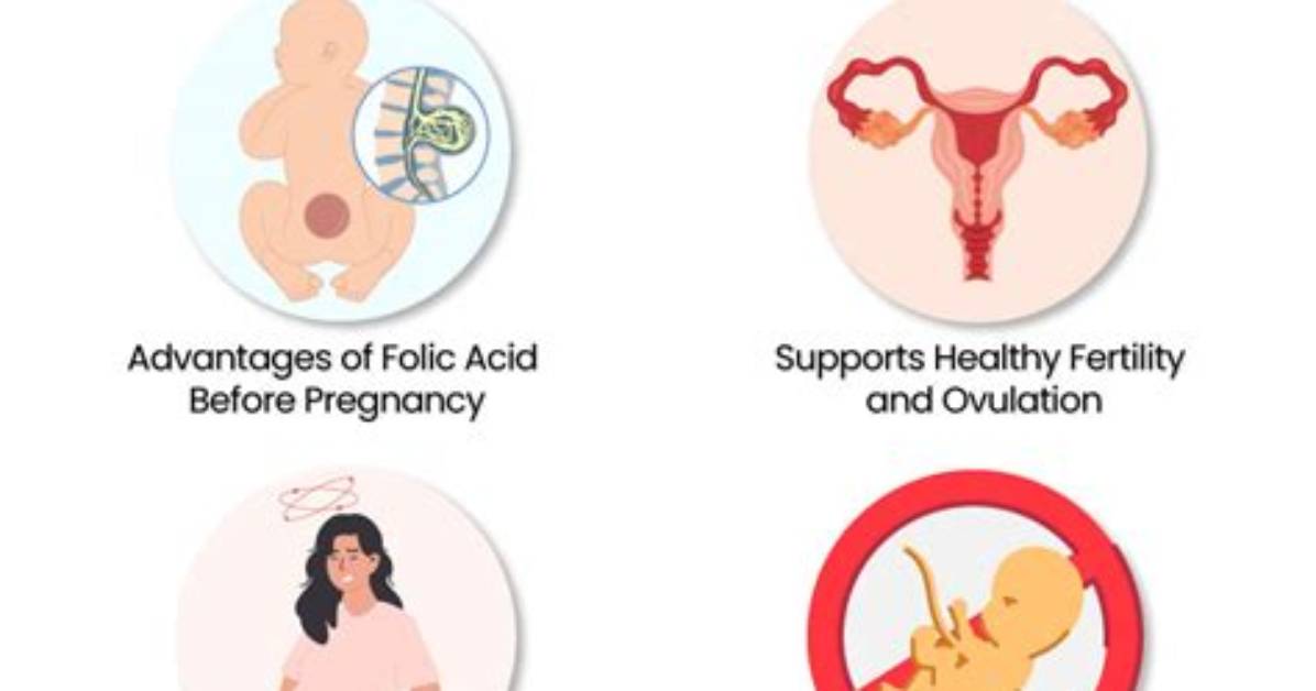 Does Folic Acid Affect Hormones?