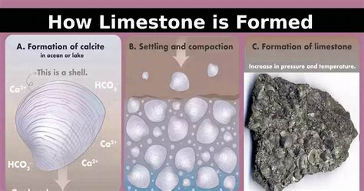 Does Fossil Containing Limestone Form?