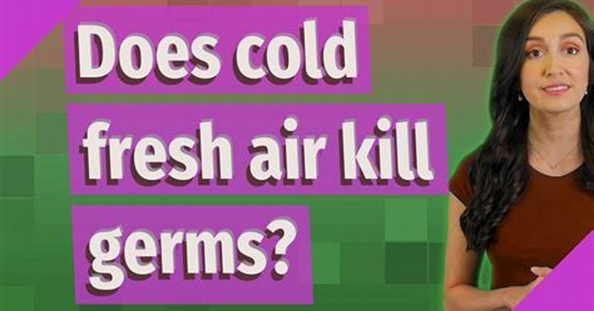 Does Fresh Air Kill Germs?