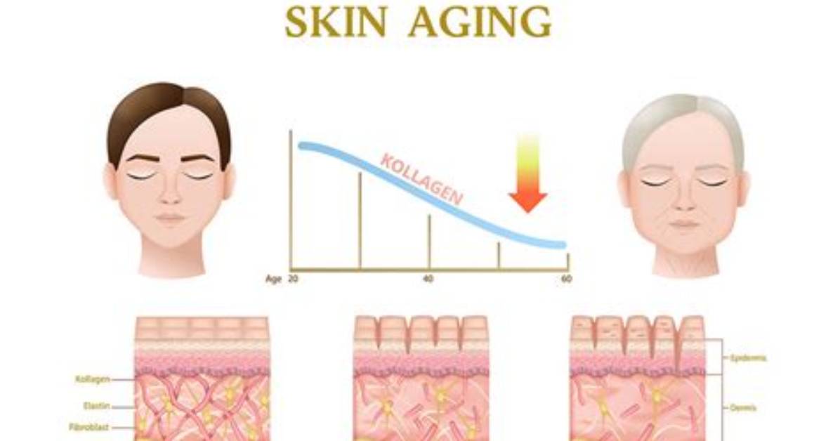 Does Fruit Age Your Skin?