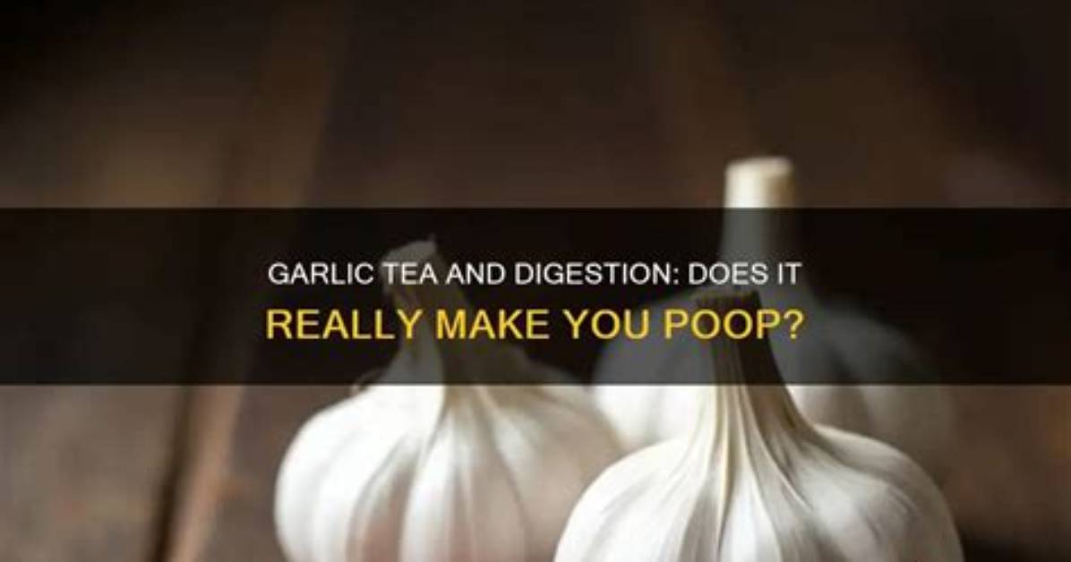 Does Garlic Make You Poop?